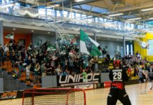 00041 Wahlleistung: 6-12 Bandenelemente Stadtparkhalle Tribünenseite