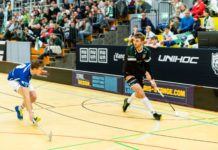 00042 Wahlleistung: Premium Tribünenbande-Stoffbanner Stadtparkhalle