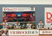 SPH-W-03 Premium Garagentor Stoffbanner Stadtparkhalle 2730x 2250mm