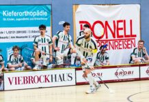 00038 Wahlleistung: Bandenelement Stadtparkhalle 1250x450mm