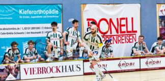 00038 Wahlleistung: Bandenelement Stadtparkhalle 1250x450mm