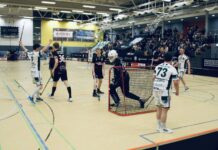 00046 Wahlleistung: Premium Handballtor Banner Stadtparkhalle