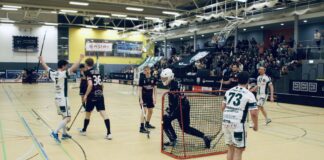 00046 Wahlleistung: Premium Handballtor Banner Stadtparkhalle