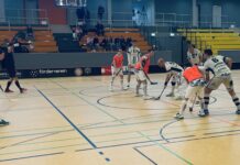 Schade, schade, schade…