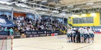 DJK Holzbüttgen sendet Ausrufezeichen im Playoff-Rennen – 13:4-Kantersieg in Leipzig Die DJK hofft im Ligaendspurt zweimal auf eine volle Hütte (Foto: A. Klüppelberg)