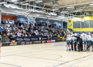 DJK Holzbüttgen sendet Ausrufezeichen im Playoff-Rennen – 13:4-Kantersieg in Leipzig Die DJK hofft im Ligaendspurt zweimal auf eine volle Hütte (Foto: A. Klüppelberg)